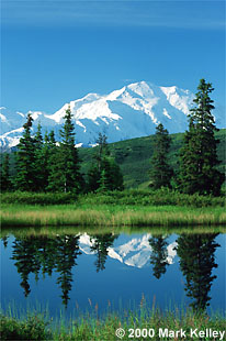Mount McKinley in Nugget Pond, Denali National Park, Alaska  – Image 2063