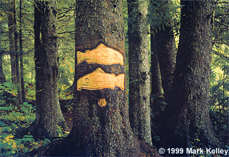 Tree Carving, Juneau, Alaska  – Image 2109