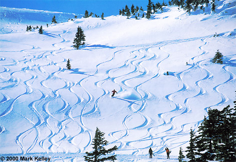 East Bowls, Eaglecrest Ski Area, Juneau, Alaska  – Image 2289