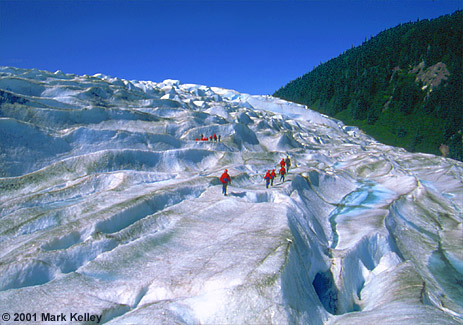 Hole in the Wall Glacier, Taku River, Alaska  – Image 2321