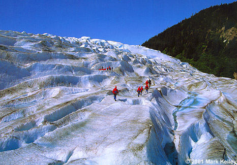 Hole in the Wall Glacier, Southeast Alaska  – Image 2335