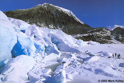 Mendenhall Glacier, Juneau, Alaska  – Image 2348