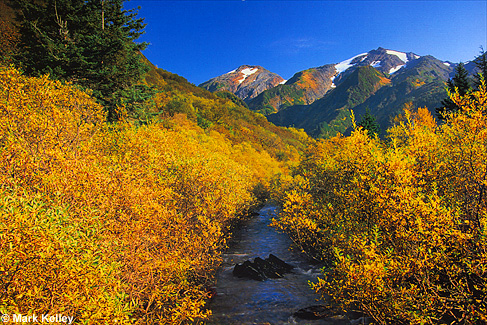 Gold Creek, Perserverance Trail, Juneau, Alaska  – Image 2382