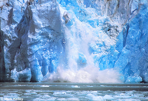 Calving Glacier, Sawyer Glacier, Tracy Arm  – Image 2386