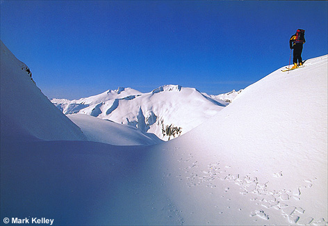 Skiing, Chilkat Mountains  – Image 2397