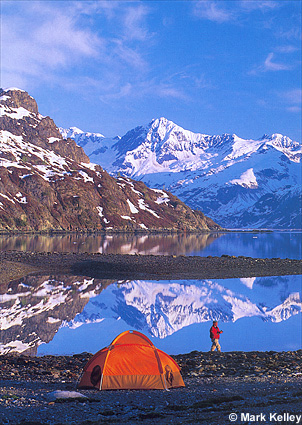 Glacier Bay National Park  – Image 2410