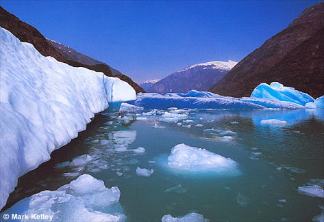 Icebergs, Tracy Arm-Fords Terror Wilderness  – Image 2417
