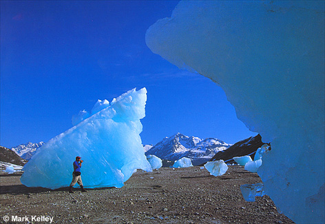 Icebergs, Reid Glacier, Glacier Bay National Park, Southeast Alaska  – Image 2428