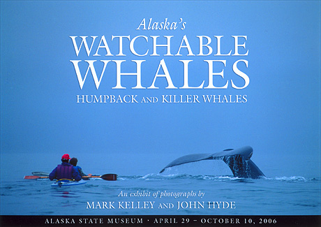 Poster for Alaskas Watchable Whales Museum Exhibition  – Image 2461