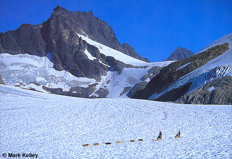 Dog Sledding, Mendenhall Glacier, Juneau, Alaska  – Image 2468