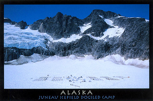 Dog Camp on the Juneau Icefield,  Alaska  – Image 2476