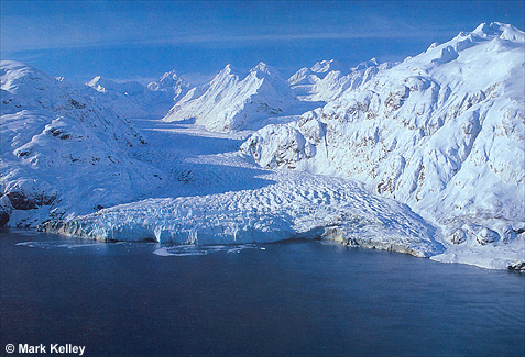 Margerie Glacier, Glacier Bay National Park, Alaska  – Image 2485