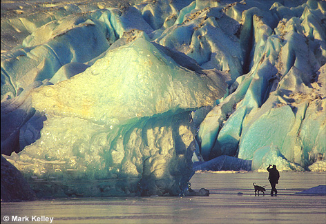 Mendenhall Glacier and Lake, Juneau, Alaska  – Image 2493
