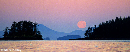 Bucarelli Bay Moon, Prince of Wales Island, Alaska  – Image 2507