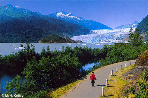 Mendenhall Glacier, Juneau, Alaska  – Image 2520