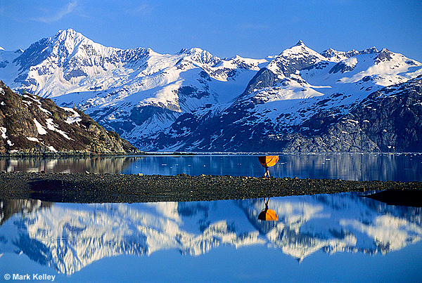 Glacier Bay National Park, Alaska  – Image 2528