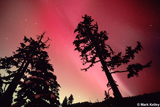 Northern Lights, Juneau, Alaska  – Image 2543