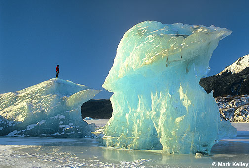 Iceberg, Mendenhall Glacier, Juneau, Alaska  – Image 2546