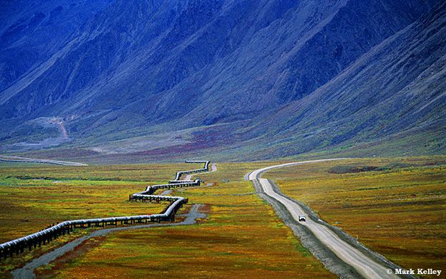 Dalton Highway, Arctic Alaska, Alaska  – Image 2564