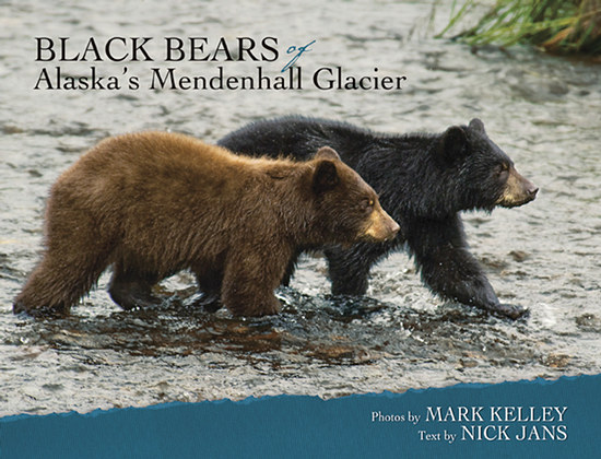 Black Bears of Mendenhall Glacier  – Image 2573