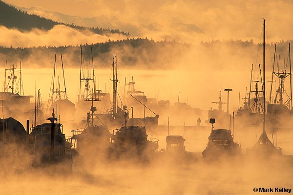Auke Bay Winter Docks, Alaska  – Image 2586