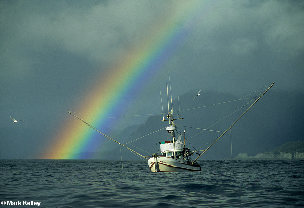 Rainbow Boat, Cross Sound, Alaska  – Image 2603
