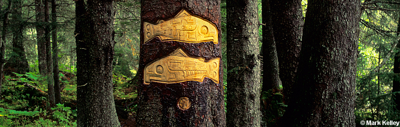 Tree Carving, Brotherhood Park Trail, Juneau, Alaska  – Image 2617