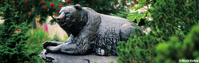 Bear Sculpture, Juneau, Alaska  – Image 2619
