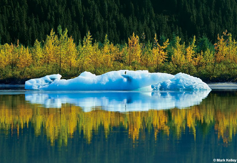 Iceberg Fall, Mendenhall Lake, Juneau, Alaska  – Image 2635