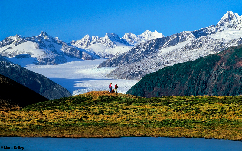 Heintzleman Ridge, Mendenhall Glacier Juneau, Alaska   – Image 2656