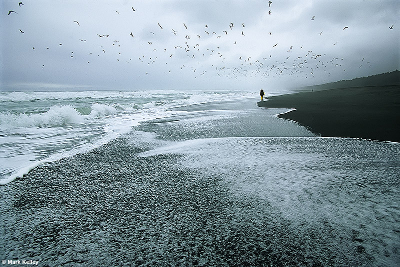 Glacier Bay Beach, Glacier Bay National Park, Alaska  – Image 2707