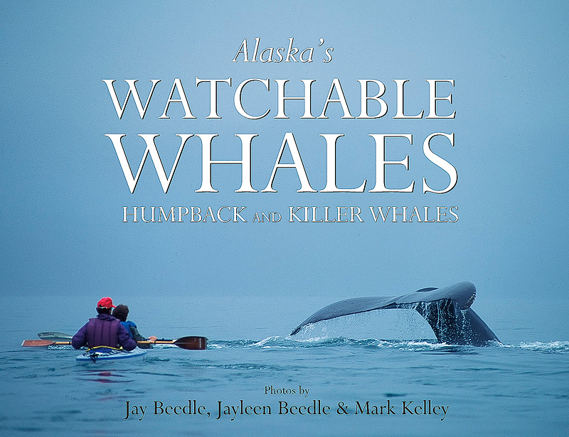 Cover of Alaska Watchable Whales Book  – Image 2778