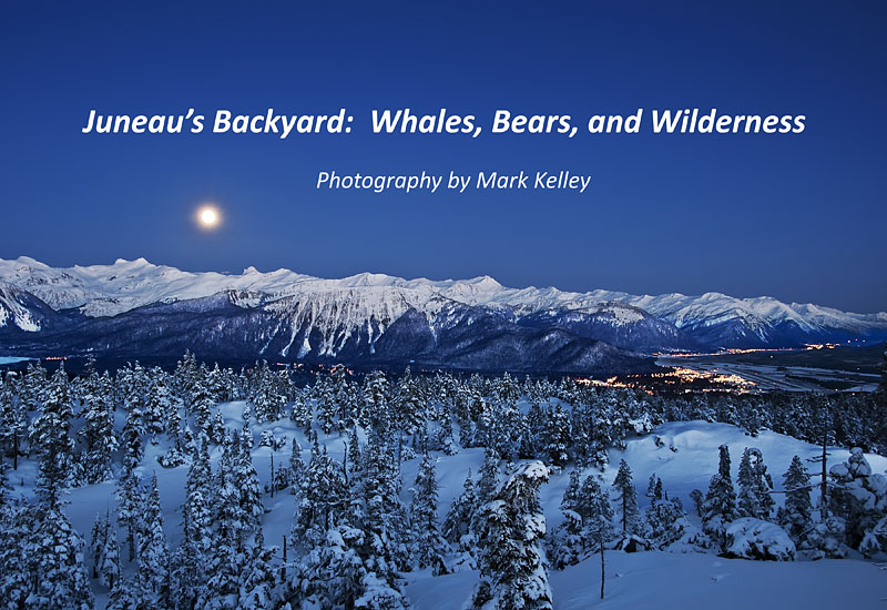 Mendenhall Glacier, Thunder Mountain, Juneau, Alaska  – Image 2809