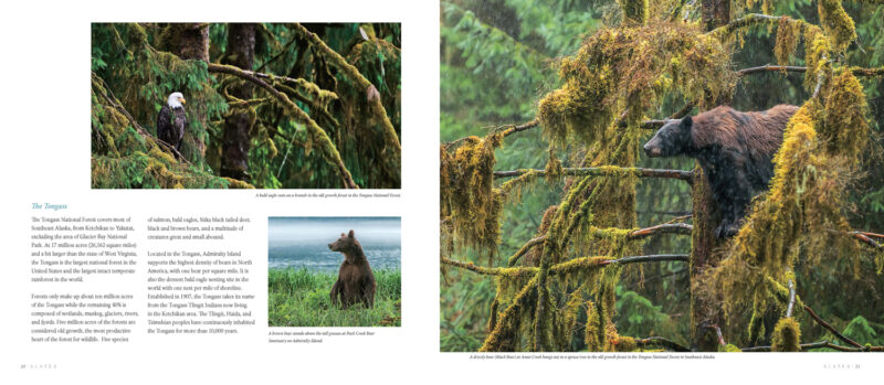 Alaska: A Photographic Excursion - Image 4