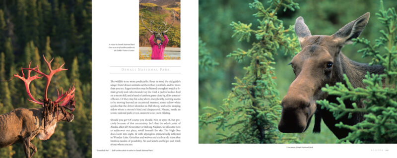 Alaska: A Photographic Excursion - Image 10