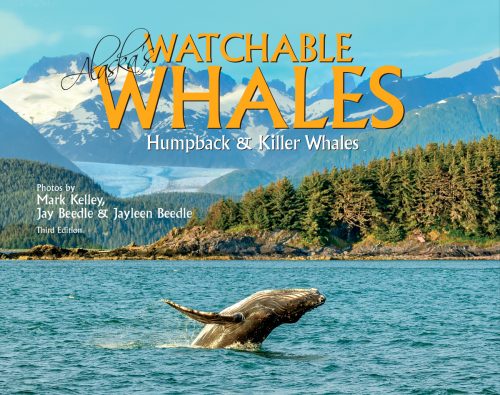 Alaska's Watchable Whales