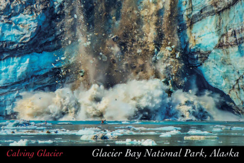Calving Glacier - Glacier Bay National Park - Alaska - Postcard PC159