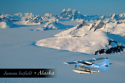 Juneau Icefield - Southeast Alaska - Postcard PC118