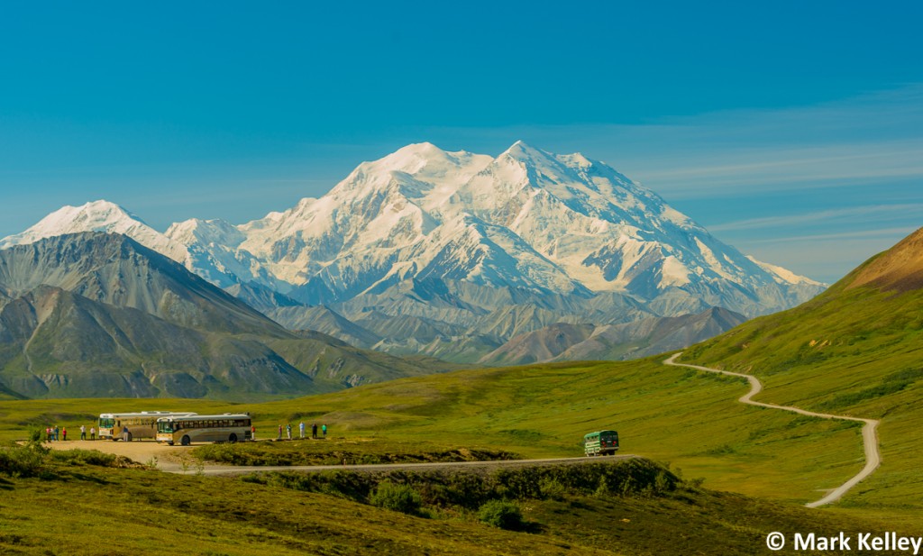 Denali Park Road, Denali National Park, Alaska #2951