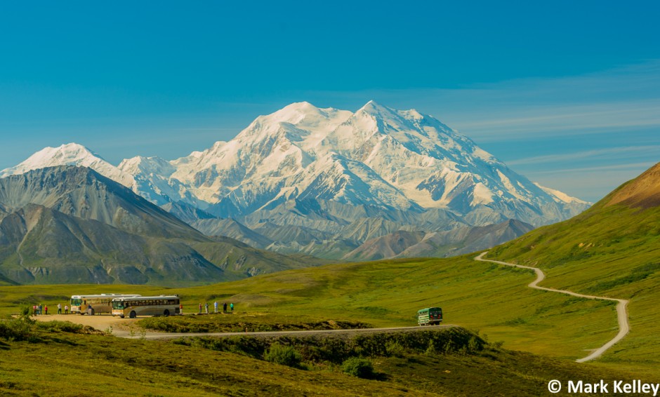 Denali Park Road, Denali National Park, Alaska 2951Mark Kelley Mark