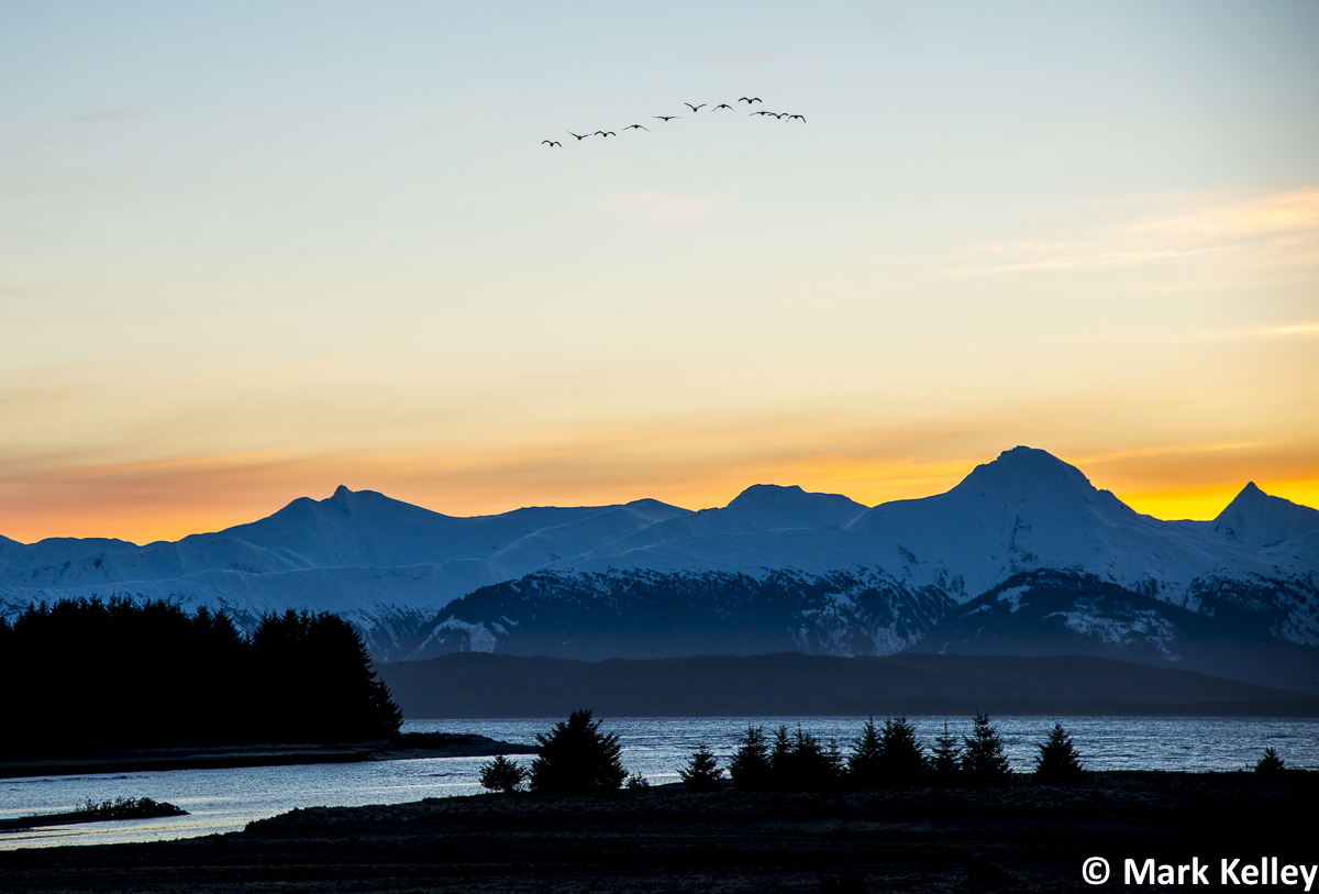 Sunset Flight, Juneau, Alaska – Image #2953