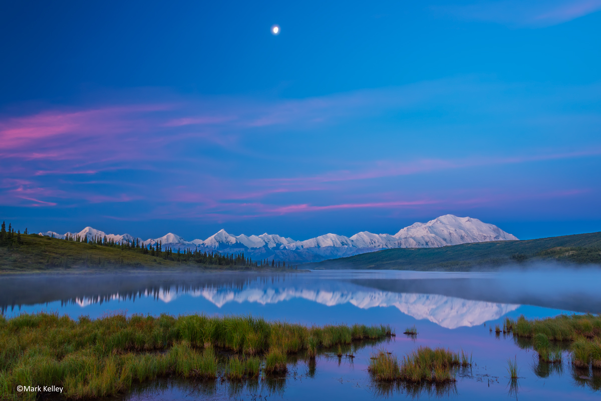 Denali Dream, Denali National Park, Alaska-Image #2954
