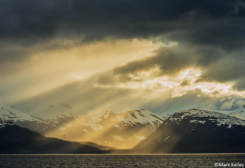 Admiralty Island, Juneau, Alaska – Image 2983