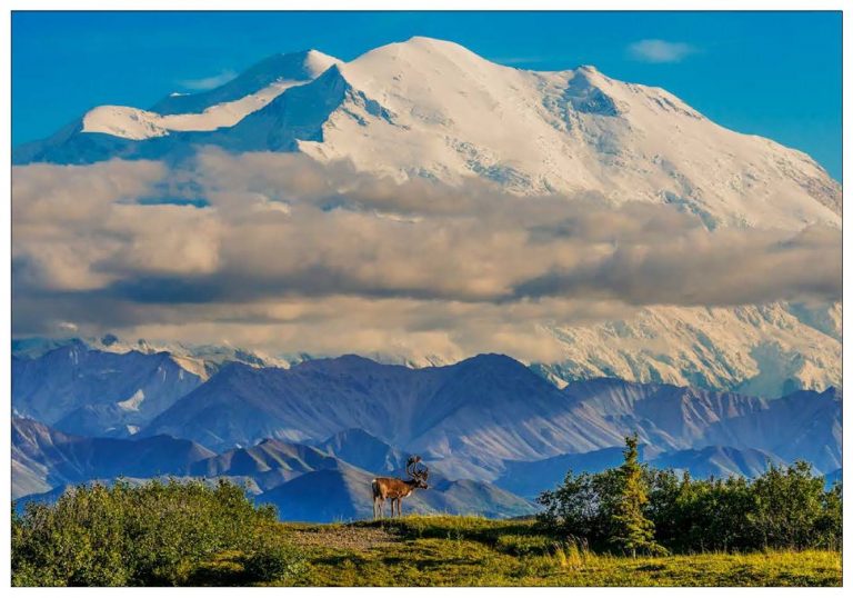 Majestic – Note Card 973