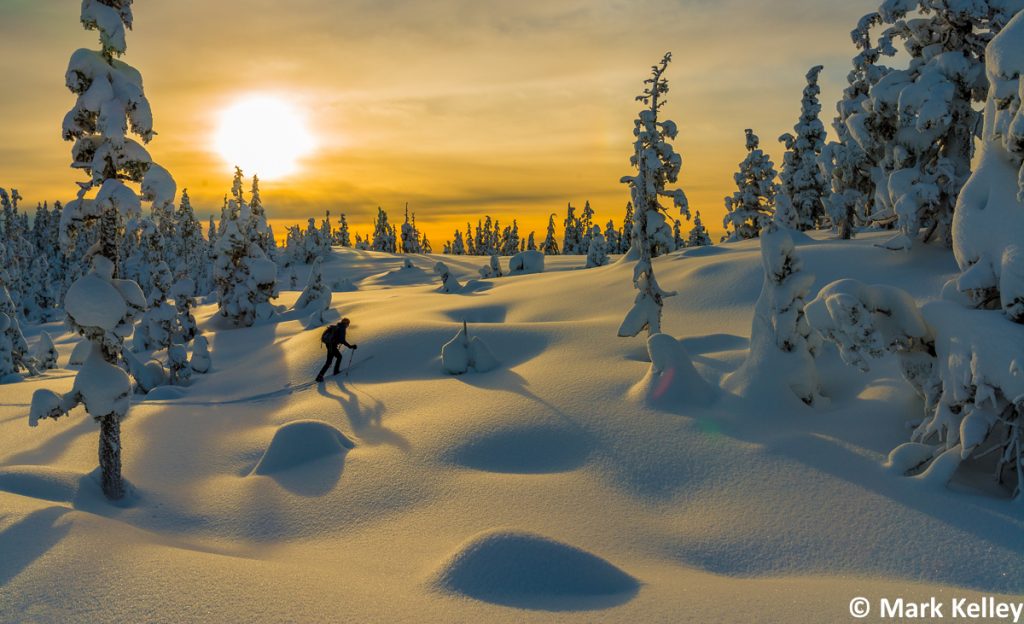 Powder Heaven, Juneau, Alaska #2997