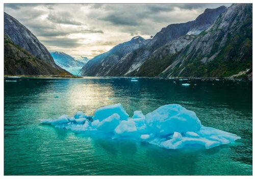 Glacier Jewels - Note Card 980