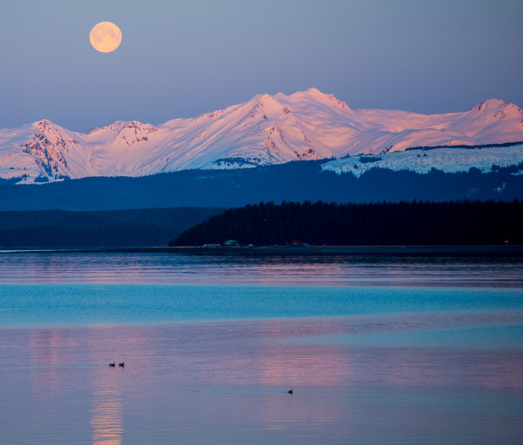 Picture Window Perfection-Juneau, Alaska #2999)