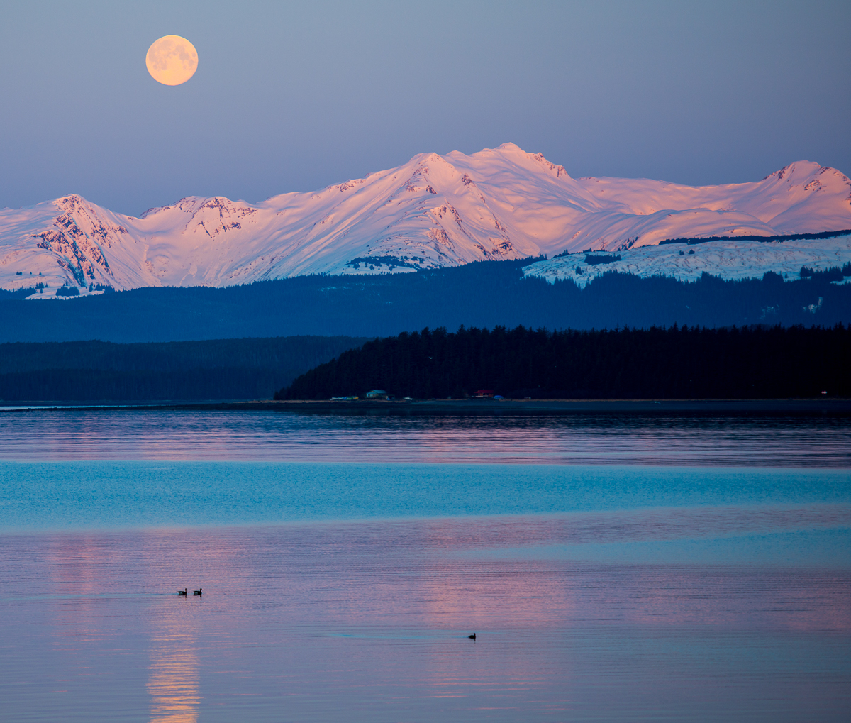 Picture Window Perfection-Juneau, Alaska #2999)