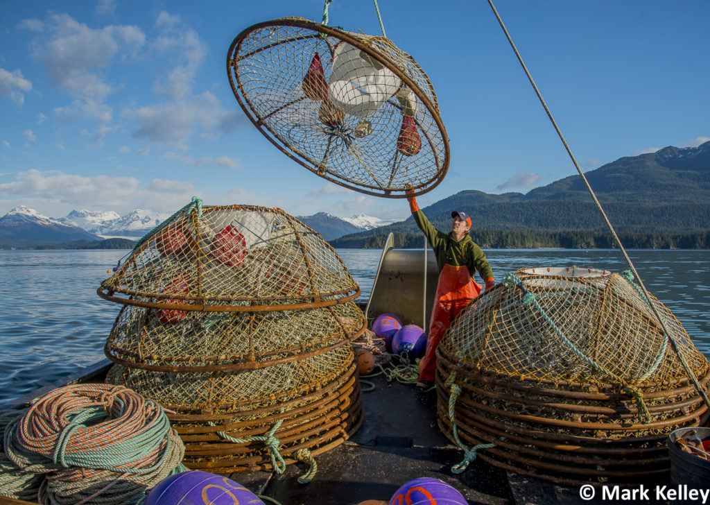 King Crab Fishery, Juneau, Alaska #3034