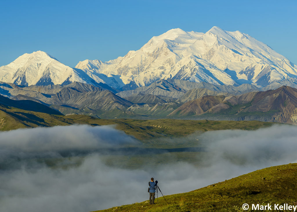 Denali, Denali National Park, Alaska #3050